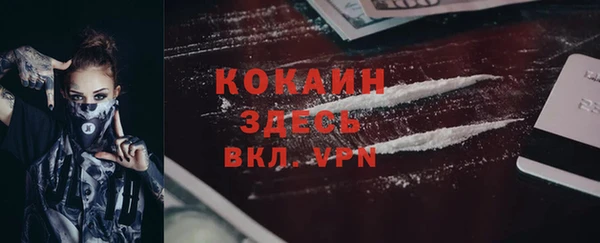 эйфоретик Арсеньев