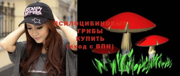 индика Аркадак