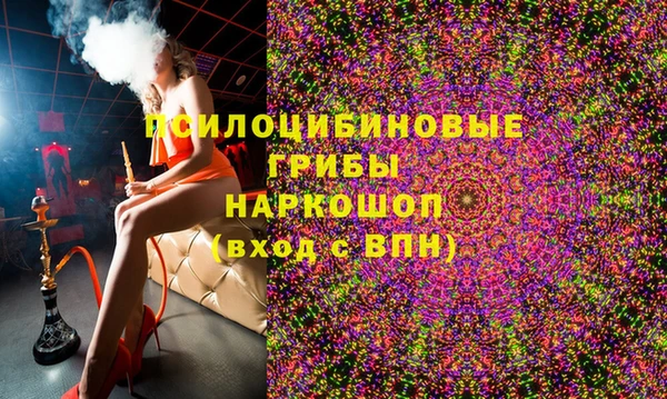 индика Аркадак