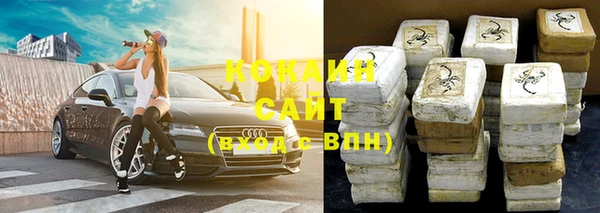 индика Аркадак
