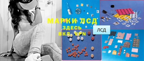 эйфоретик Арсеньев