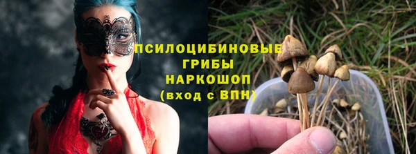 эйфоретик Арсеньев