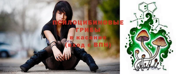 прущая мука Армянск