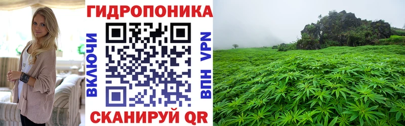 купить   Нея  Бошки Шишки гибрид 